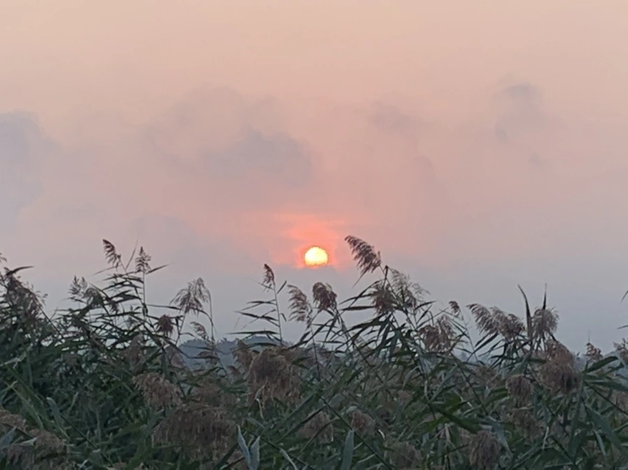 IMG_1095.jpg?type=w966