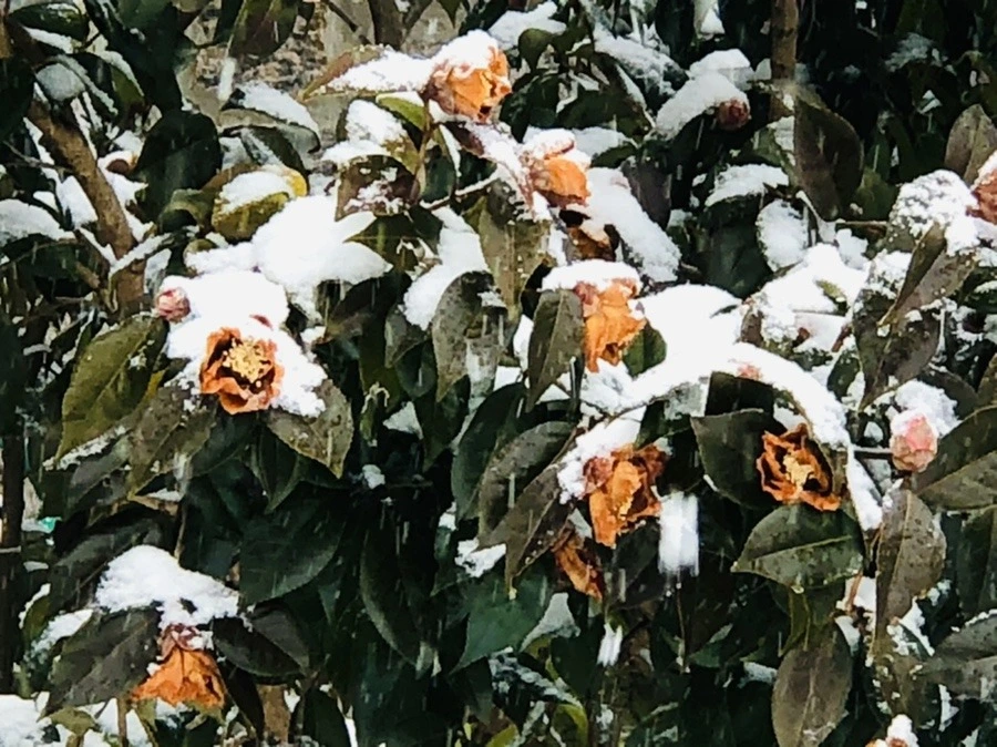 UCntwsFIqqvwEO22Up8OEUrahUE