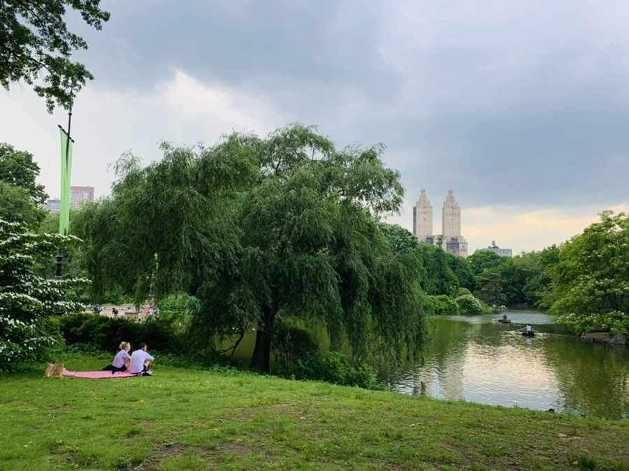 IMG_1693.jpg?type=w966