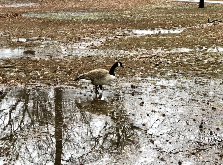 IMG_5656.jpg?type=w966