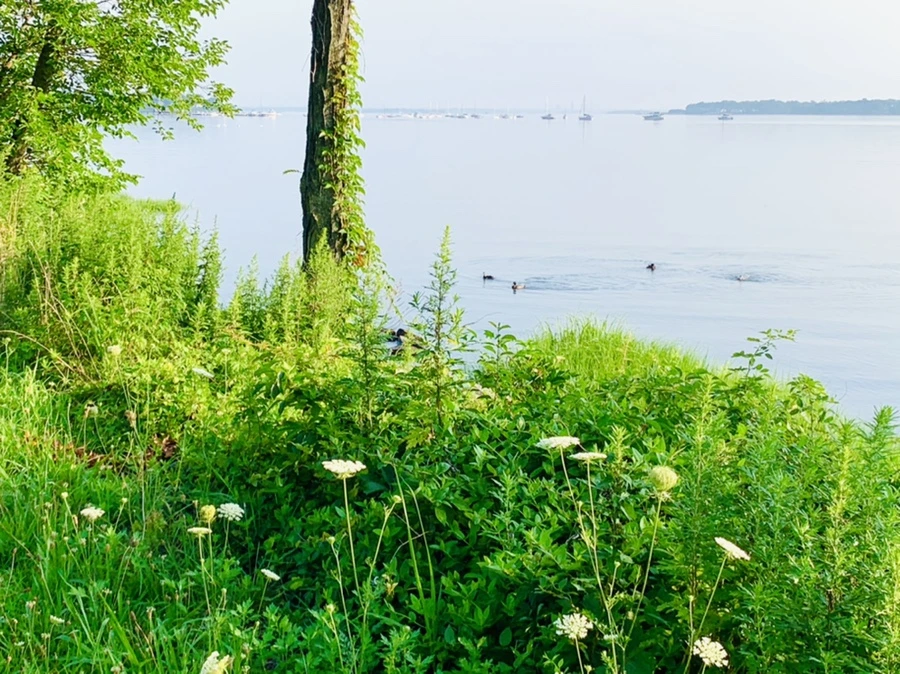 IMG_6518.jpg?type=w966