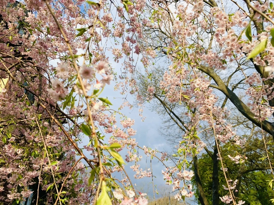 IMG_3812.jpg?type=w966