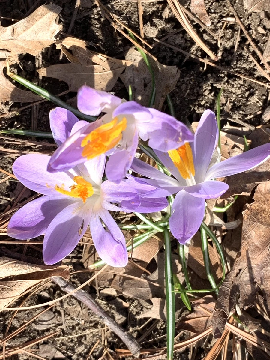 IMG_9639.jpg?type=w966