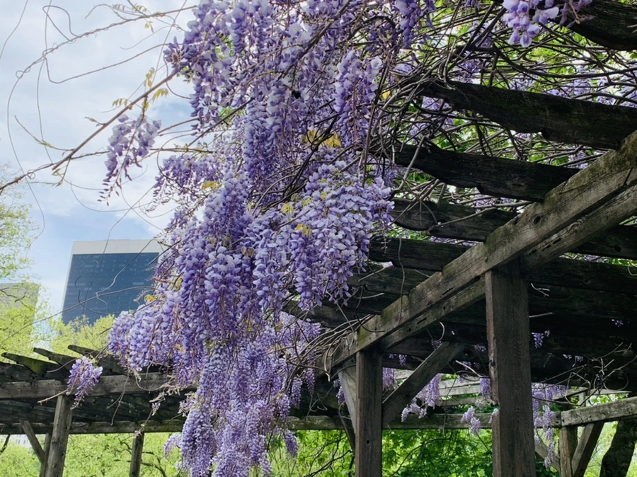 IMG_8769.jpg?type=w966