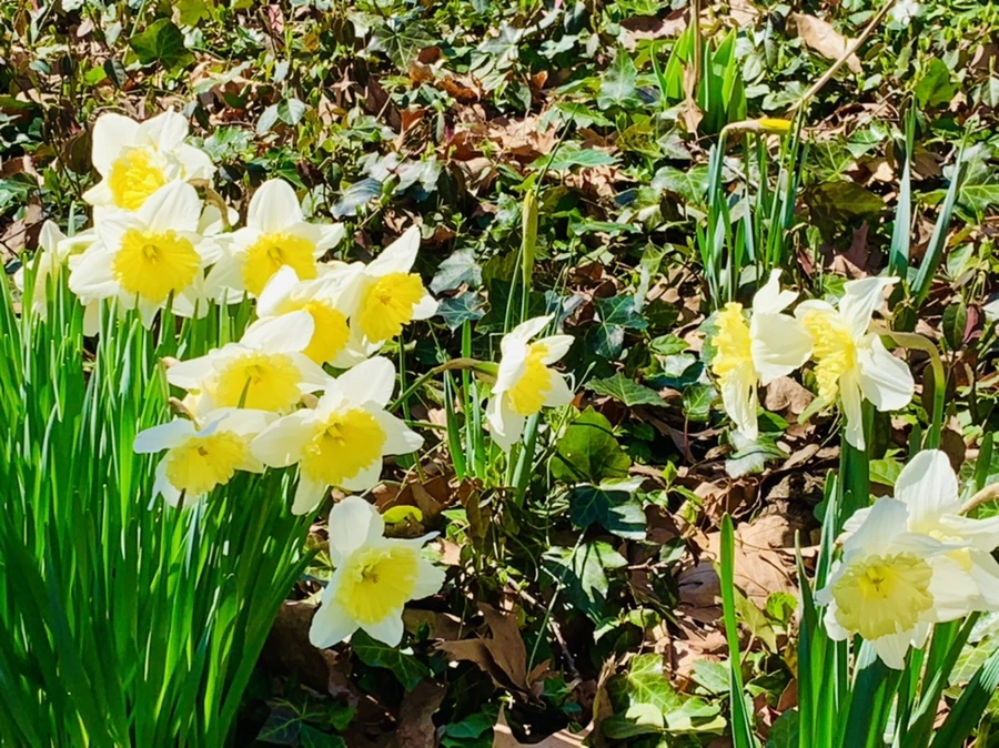 IMG_5816.jpg?type=w966