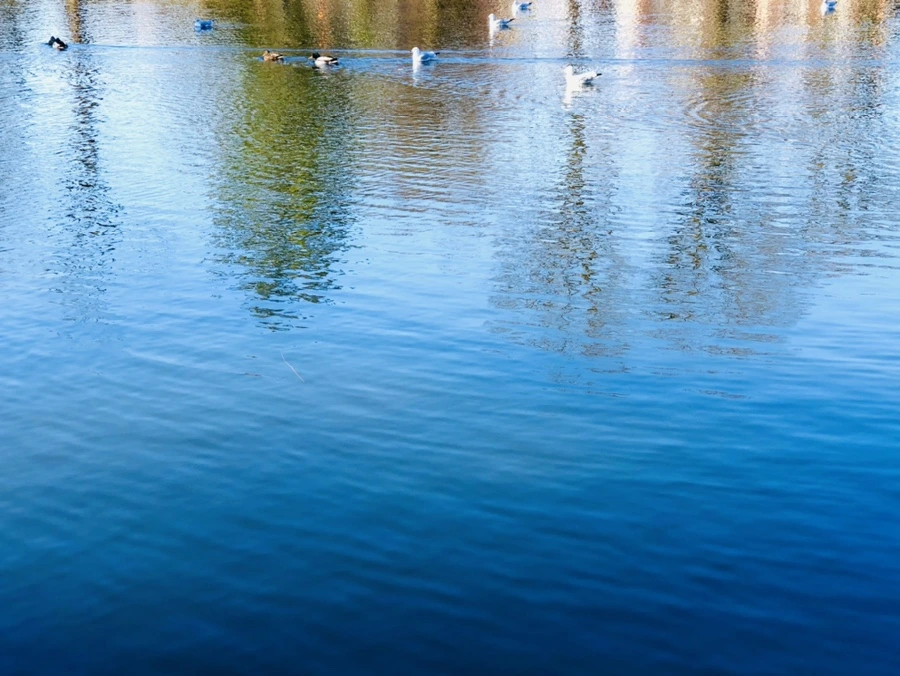 IMG_9764.jpg?type=w966