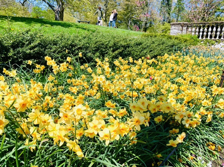 IMG_4790.jpg?type=w966