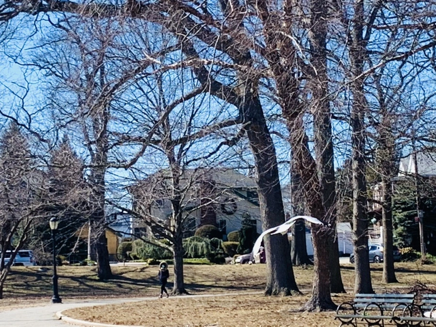 IMG_7641.jpg?type=w966