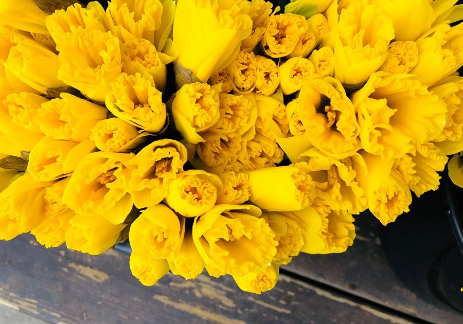 IMG_4087.jpg?type=w966