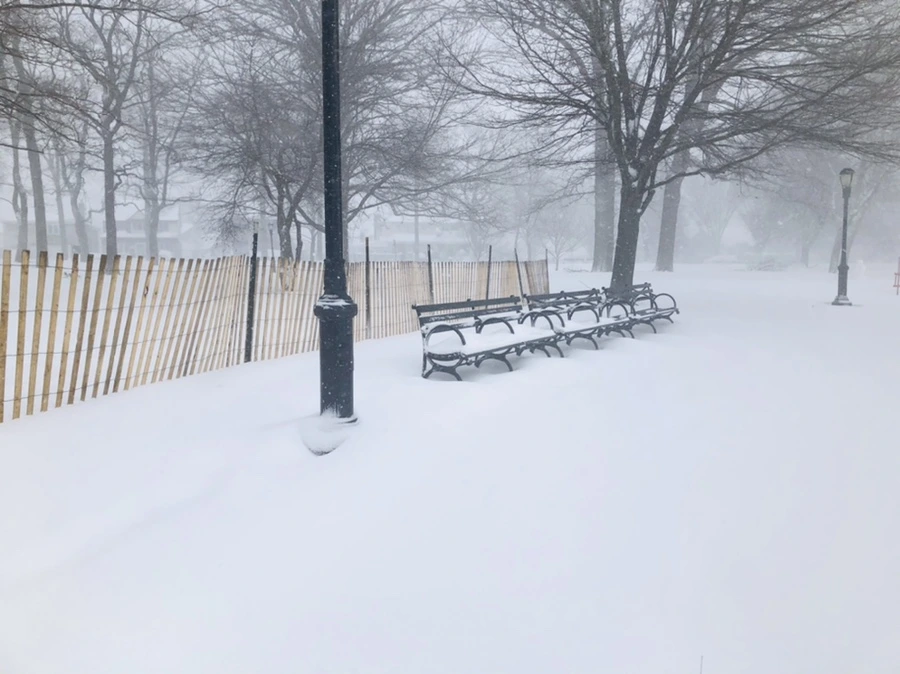 IMG_8830.jpg?type=w966