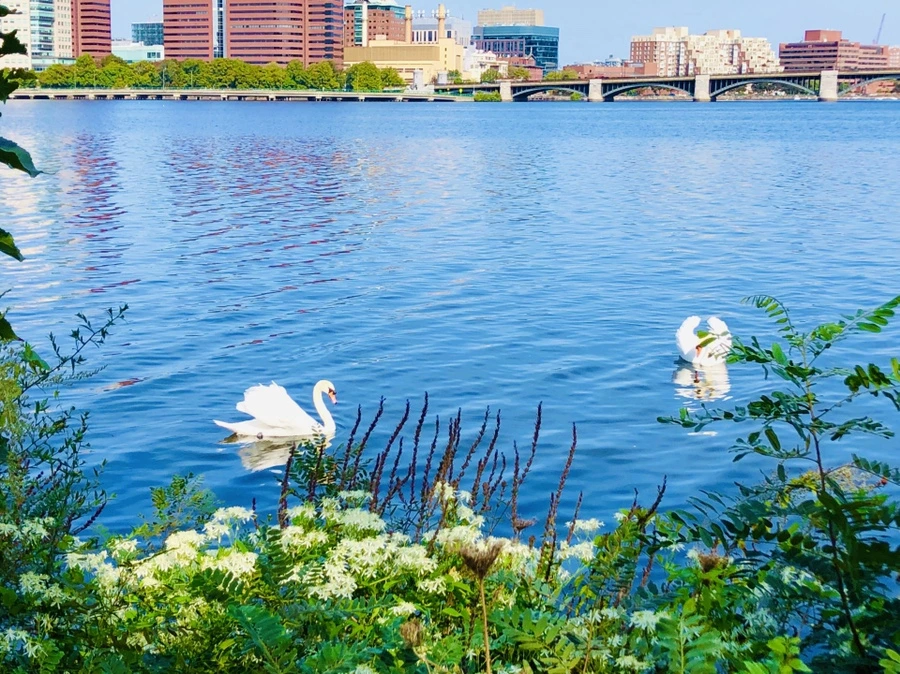 IMG_0935.jpg?type=w966