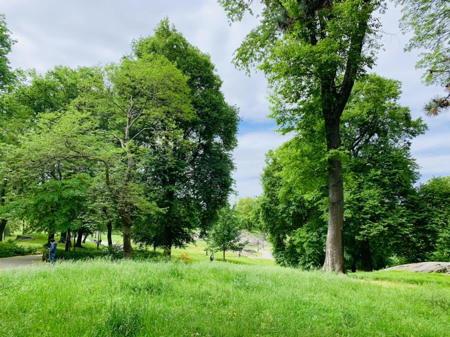 IMG_6423.jpg?type=w966