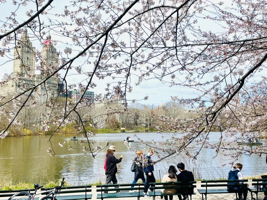 IMG_8855.jpg?type=w966