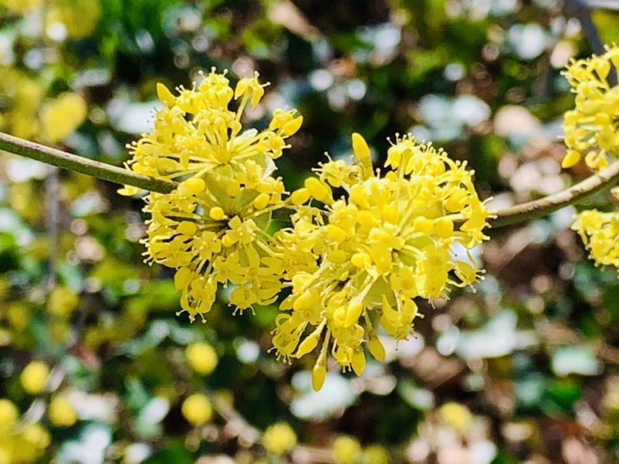 IMG_5672.jpg?type=w966