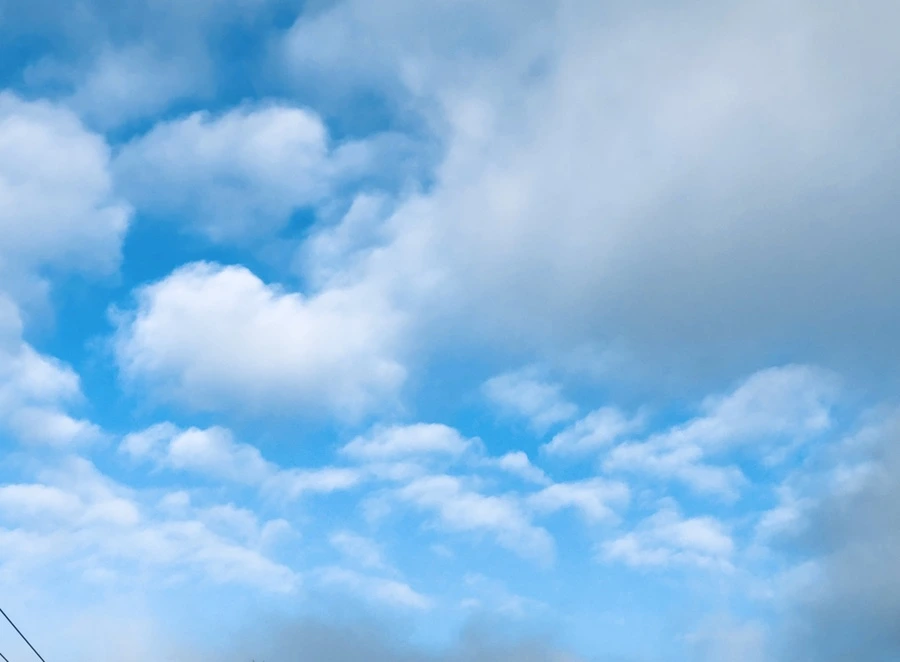 IMG_9670.jpg?type=w966