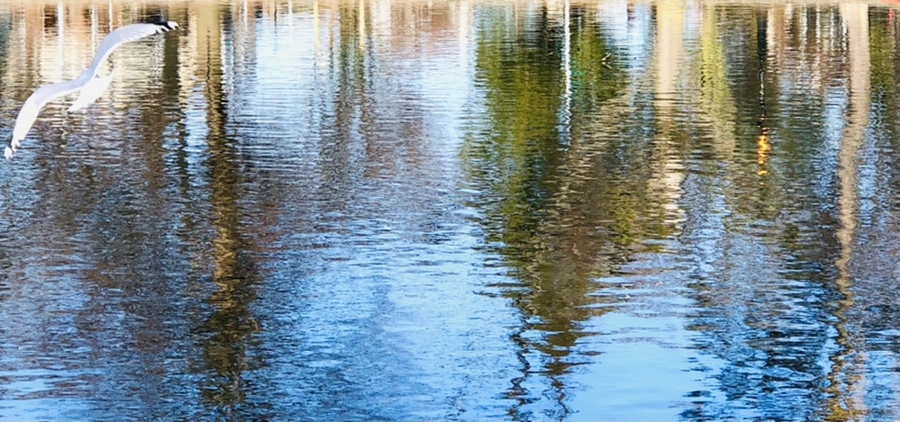 IMG_9773.jpg?type=w966