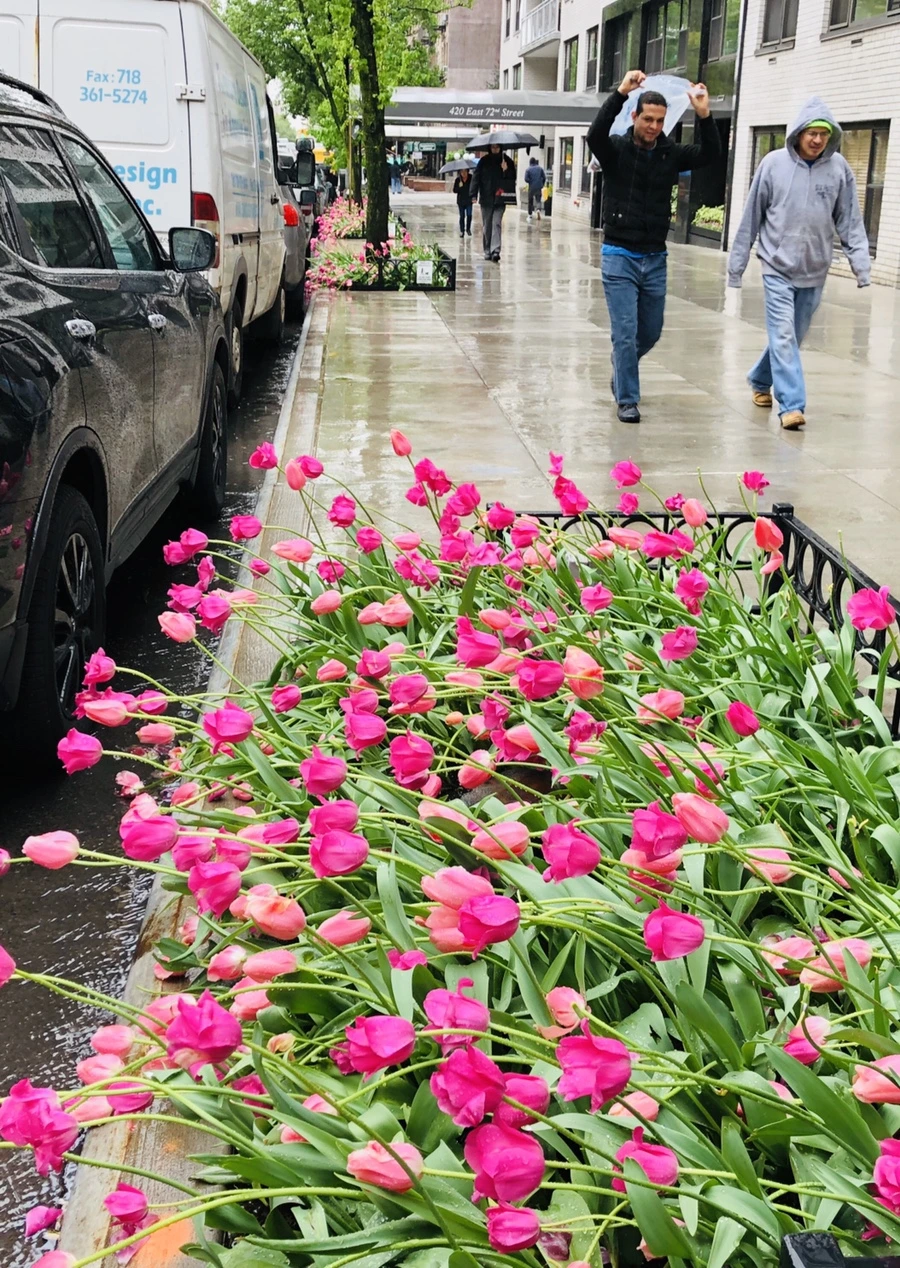 IMG_4614.jpg?type=w966