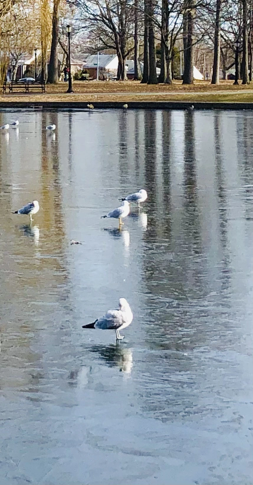 IMG_8470.jpg?type=w966