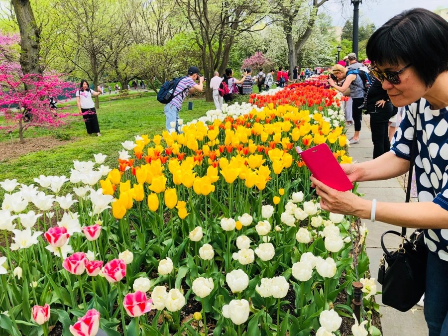 IMG_5533.jpg?type=w966