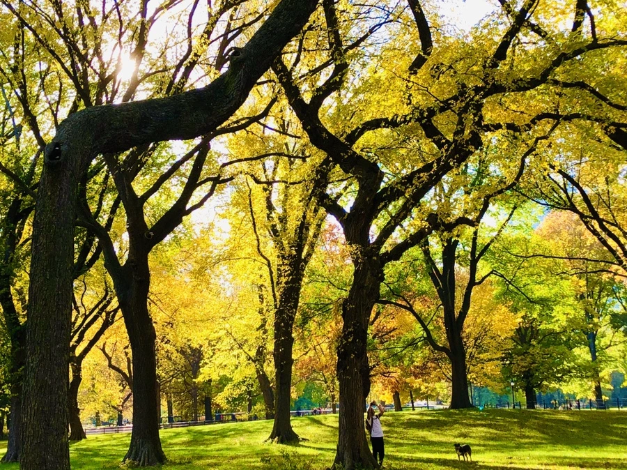 IMG_3495.jpg?type=w966