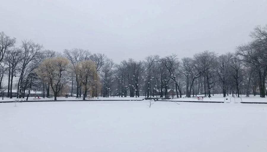 IMG_4252.jpg?type=w966