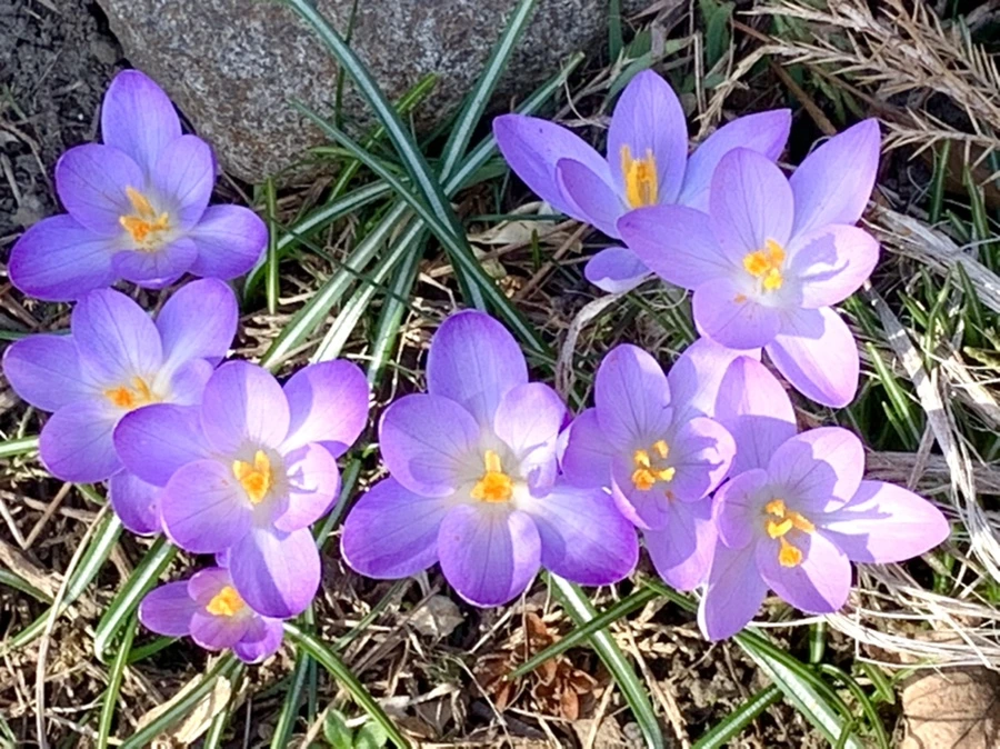 IMG_0209.jpg?type=w966