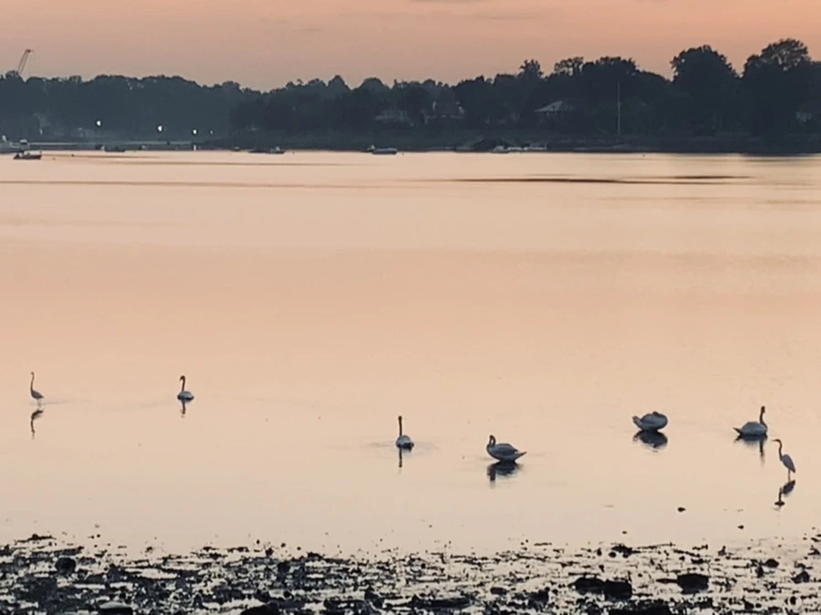 IMG_7121.jpg?type=w966