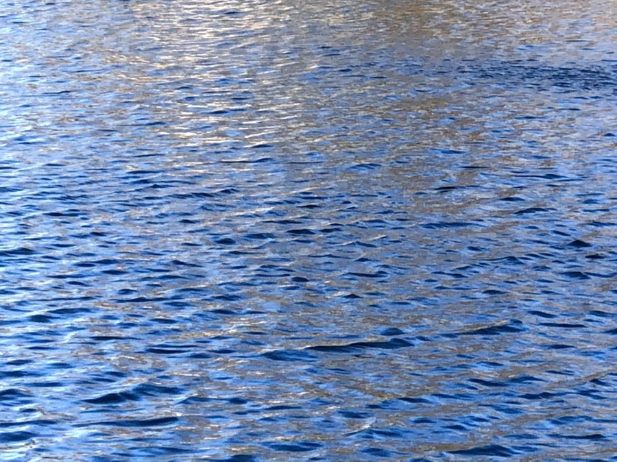 IMG_3830.jpg?type=w966