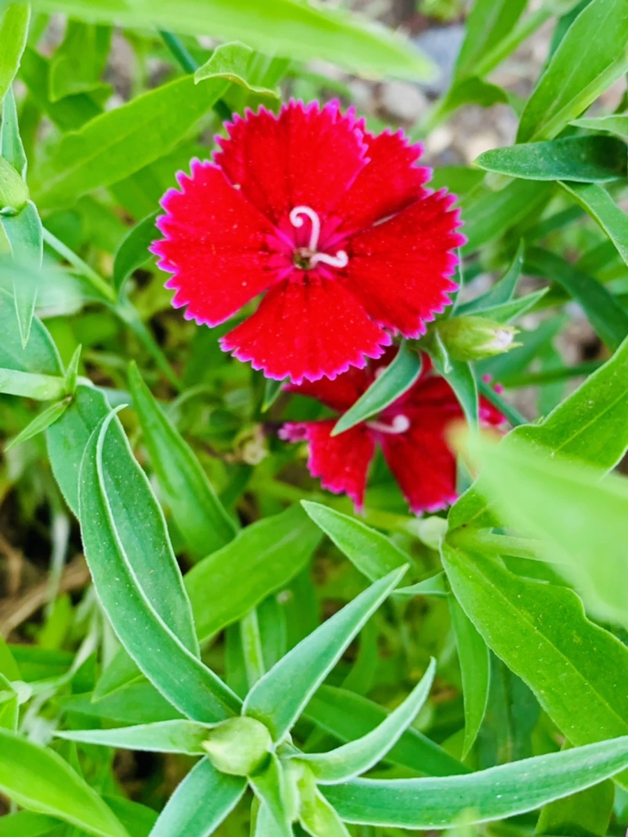 IMG_9013.jpg?type=w966