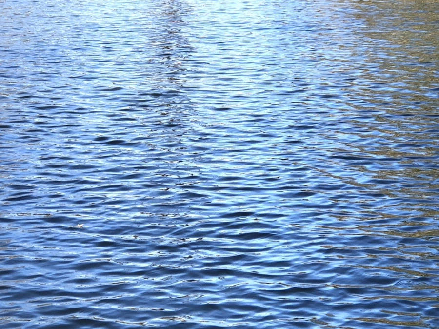 IMG_3809.jpg?type=w966