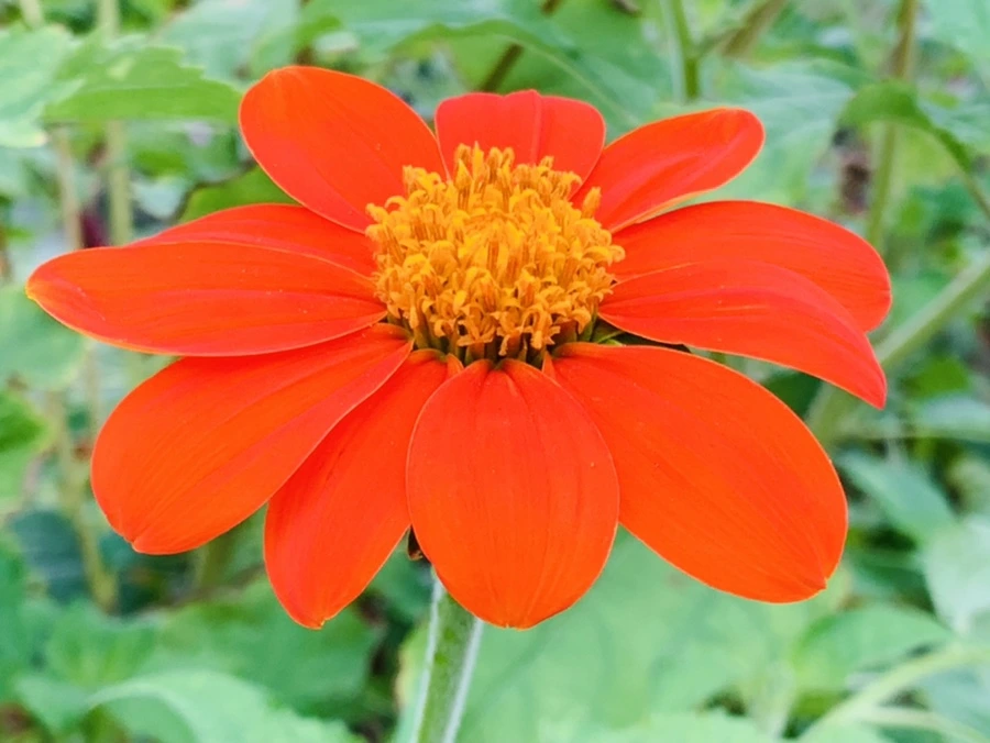 IMG_6976.jpg?type=w966