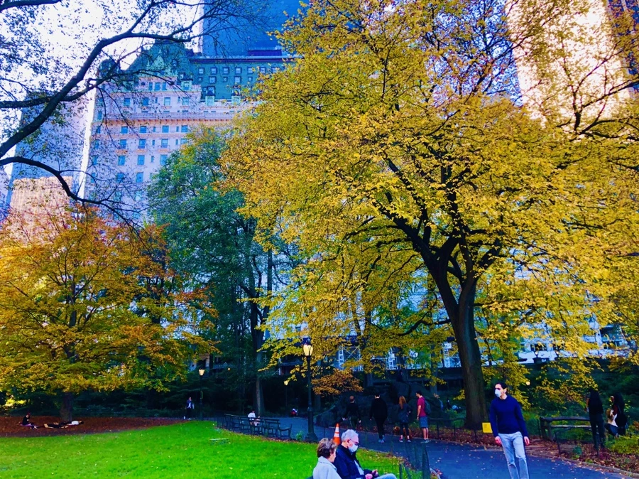 IMG_3756.jpg?type=w966