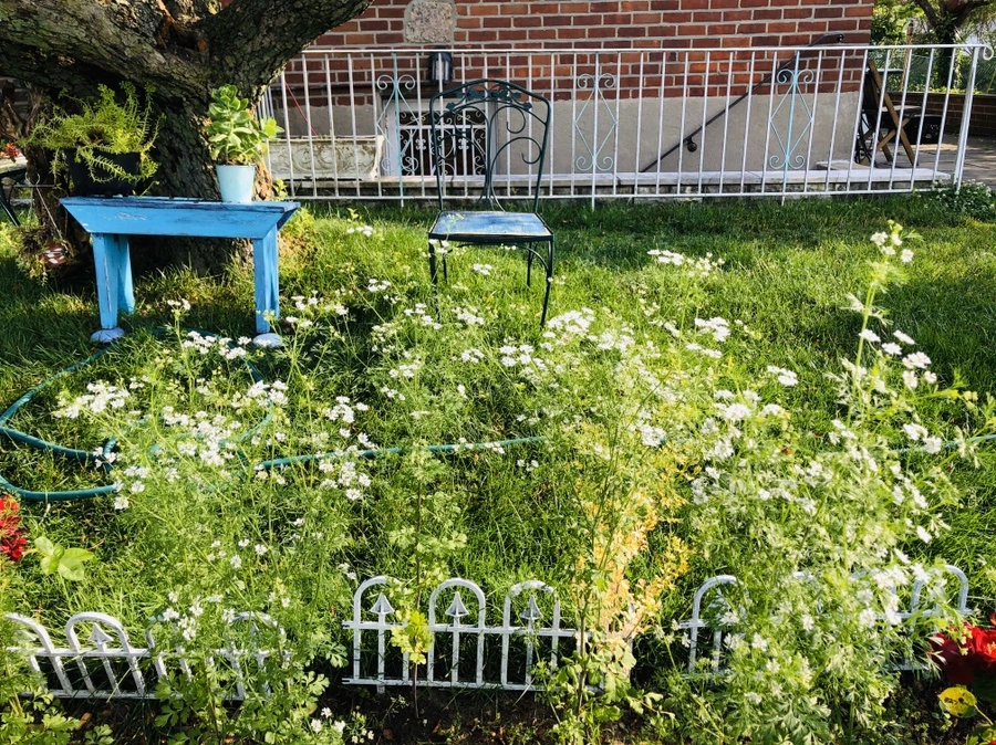 IMG_8762.jpg?type=w966