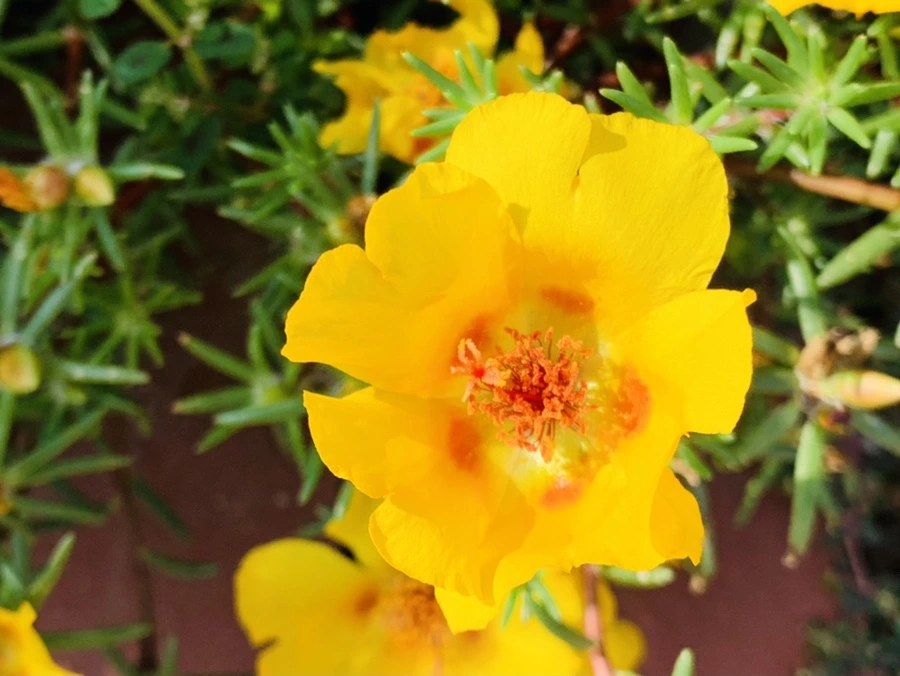 IMG_6688.jpg?type=w966