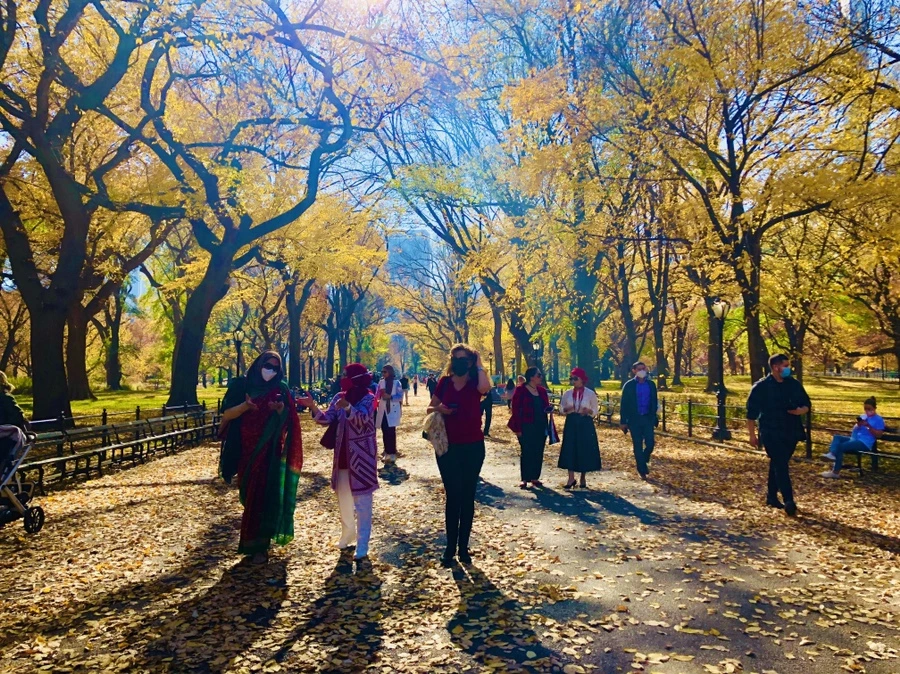 IMG_4276.jpg?type=w966