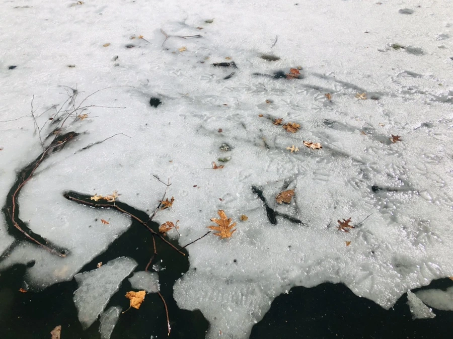 IMG_4960.jpg?type=w966