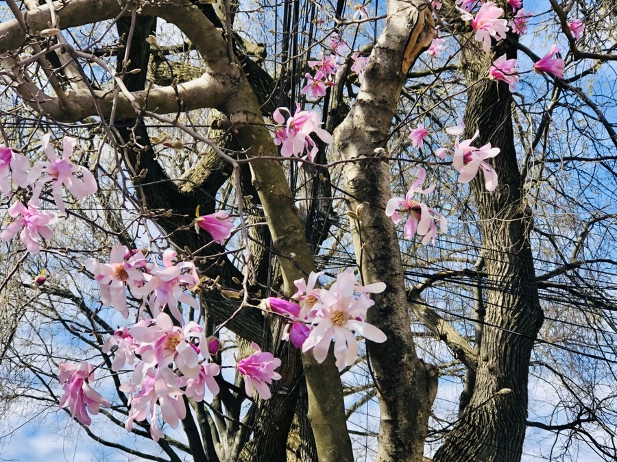 IMG_6567.jpg?type=w966