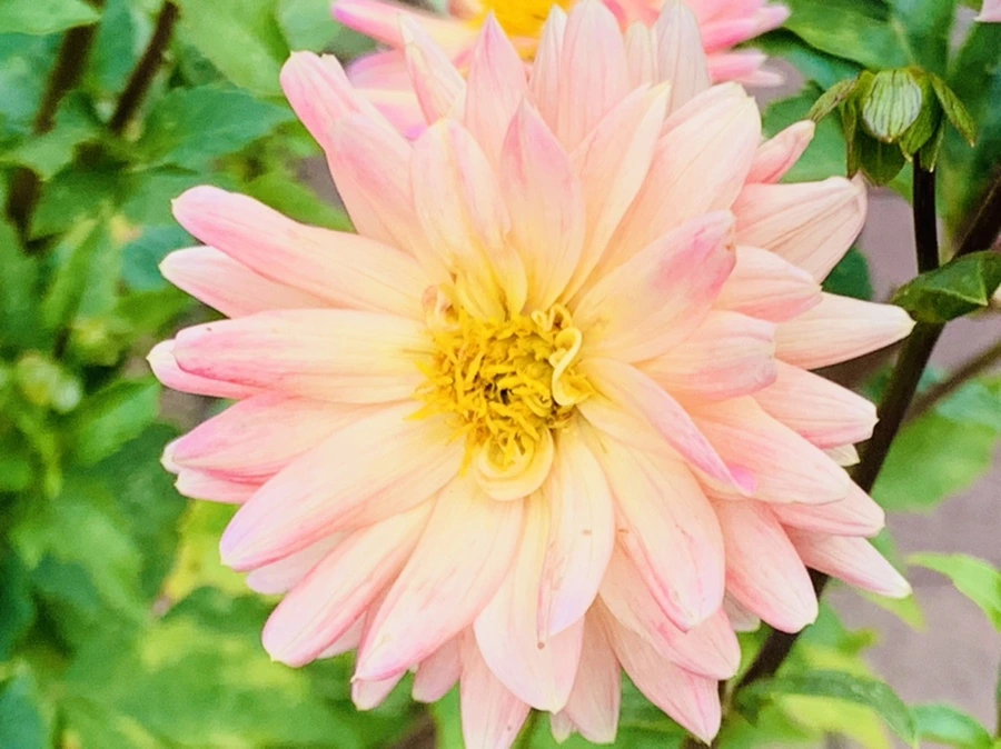 IMG_9413.jpg?type=w966