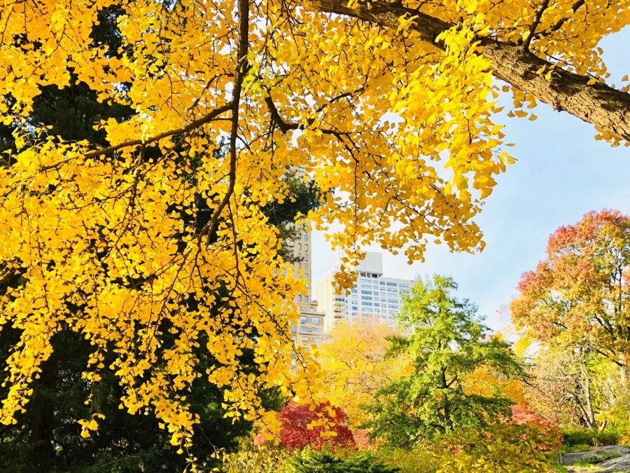 IMG_7546.jpg?type=w966