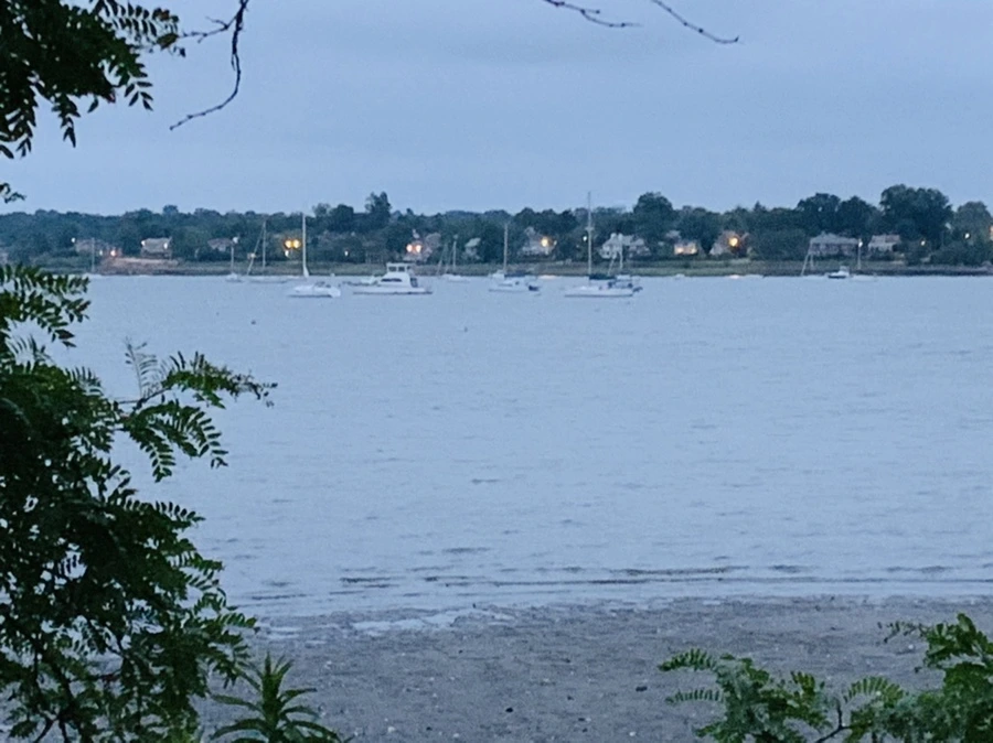 IMG_6699.jpg?type=w966