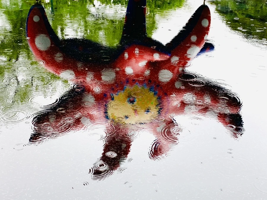 IMG_9765.jpg?type=w966