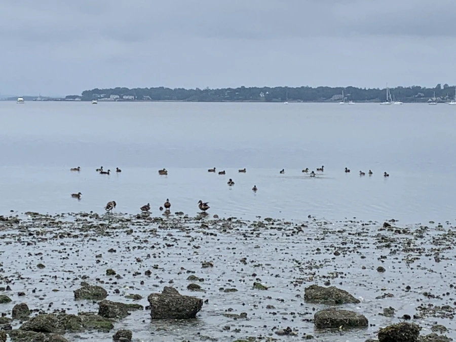 IMG_3730.jpg?type=w966