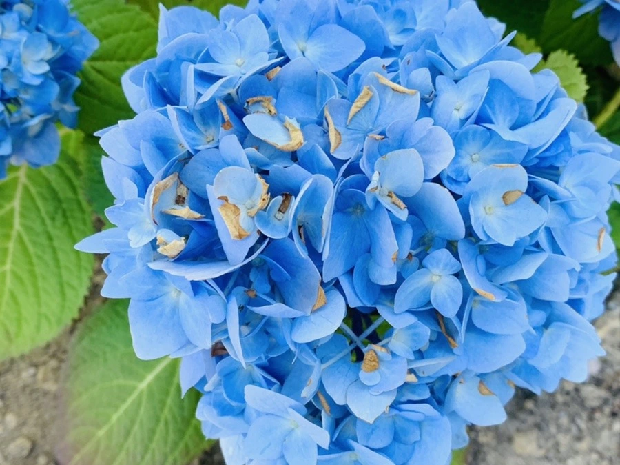 tIbVztOq_83N9XOnkjEoJvk8w_w