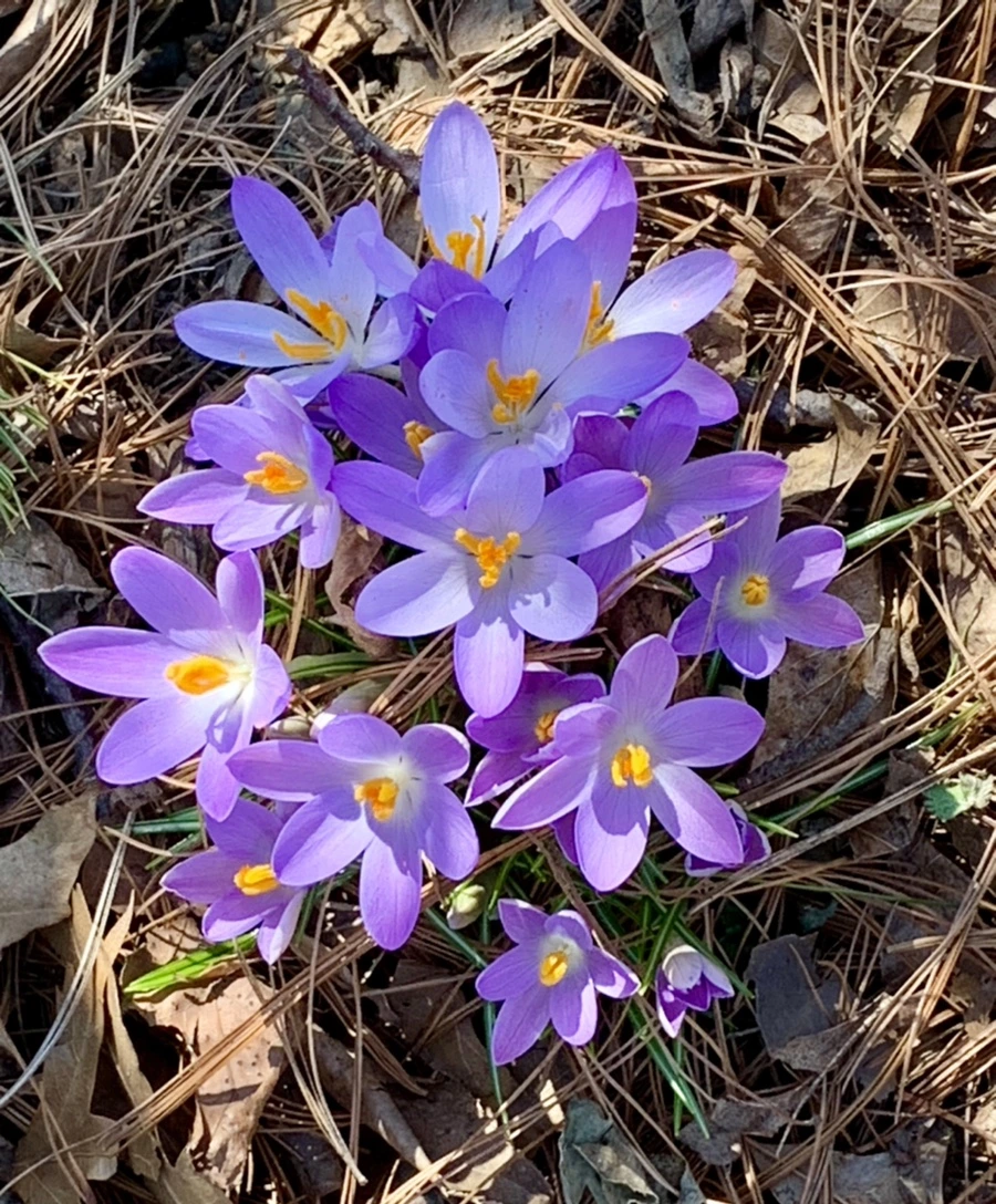 IMG_9743.jpg?type=w966