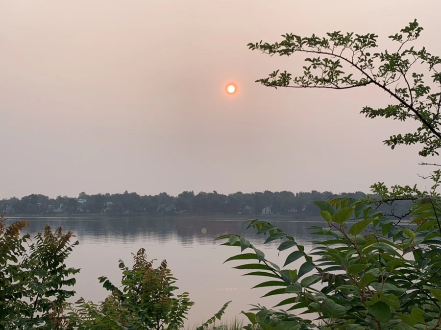 IMG_8176.jpg?type=w966