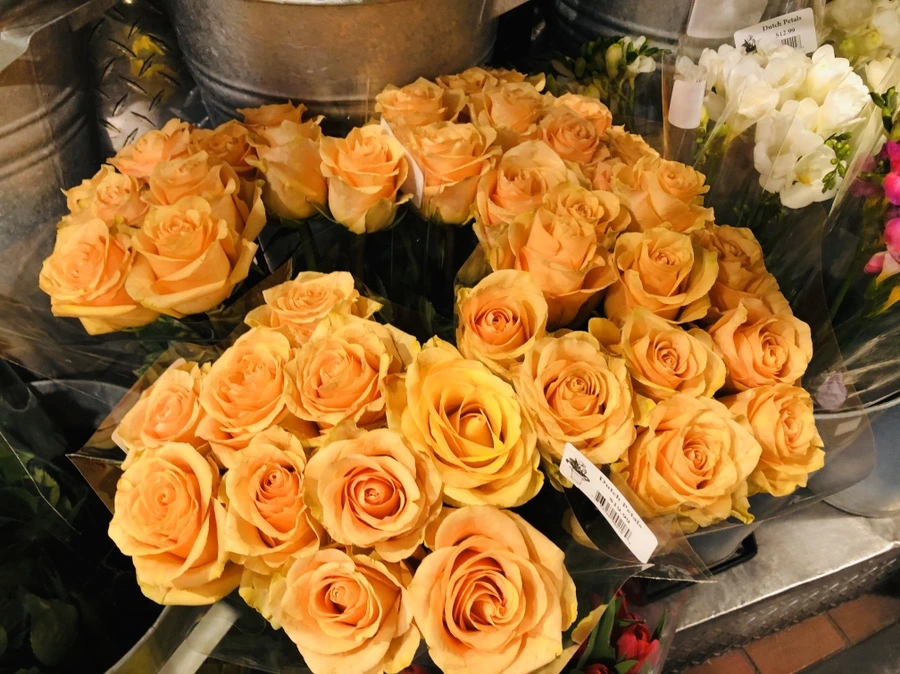 IMG_2232.jpg?type=w966