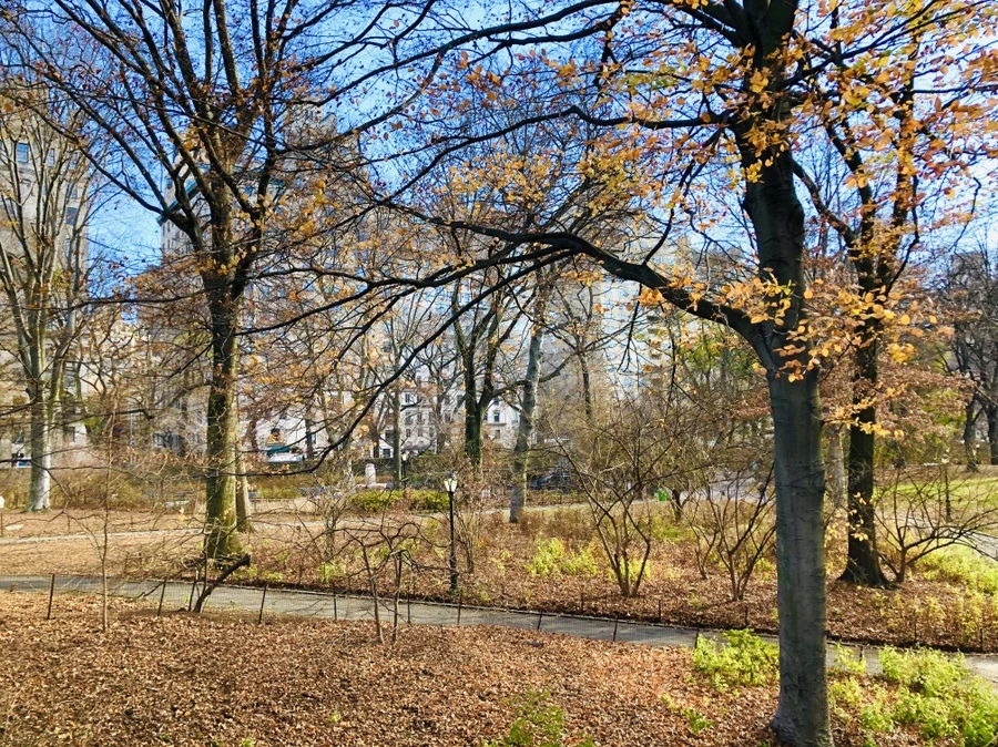 IMG_6429.jpg?type=w966