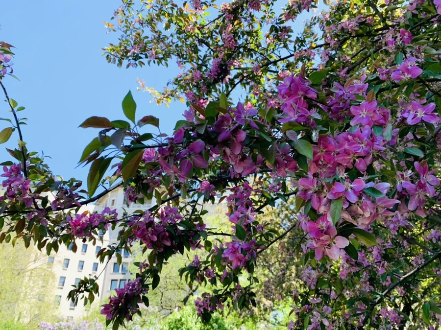 IMG_5741.jpg?type=w966