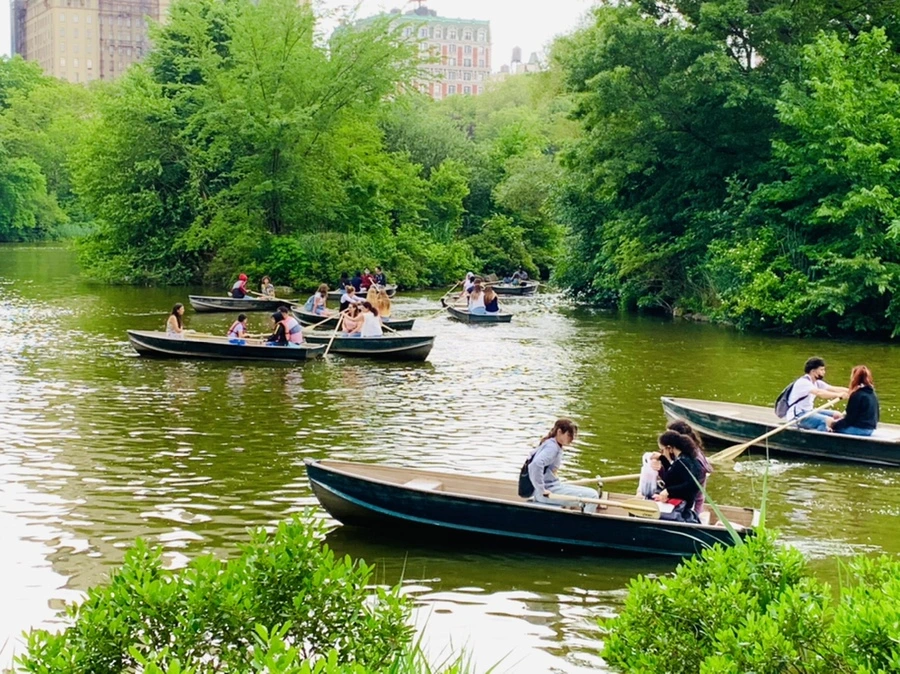 IMG_3423.jpg?type=w966