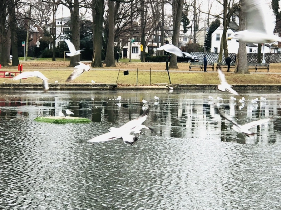 IMG_3294.jpg?type=w966